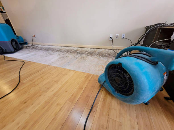 Professional Structural Drying technician working in Eastchester, NY